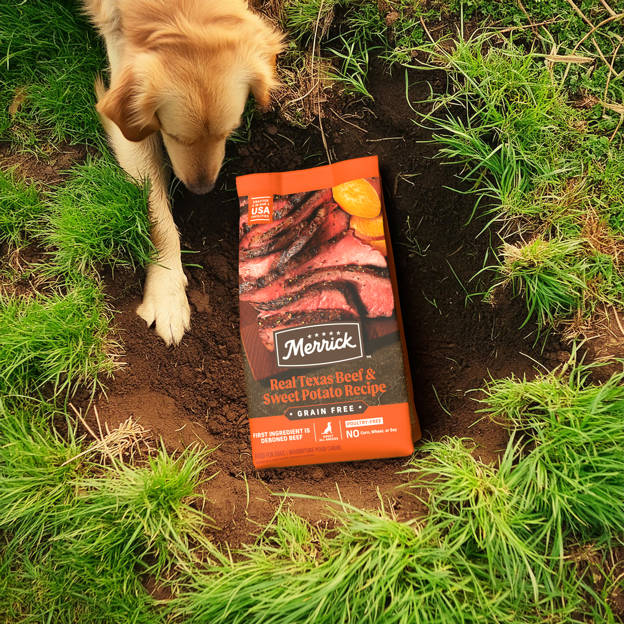 social-Current View copy