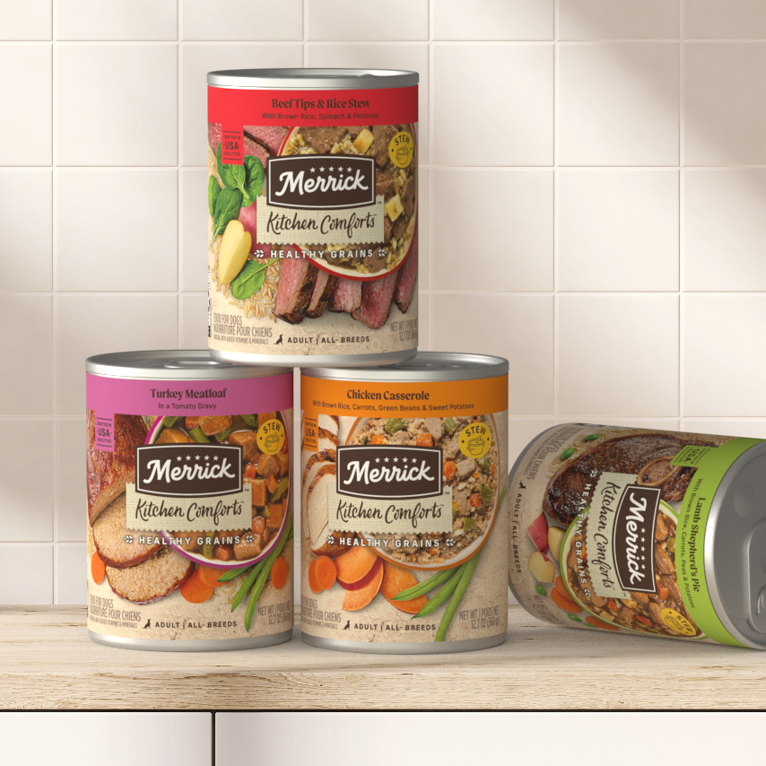 KC_HeroImage2-Camera